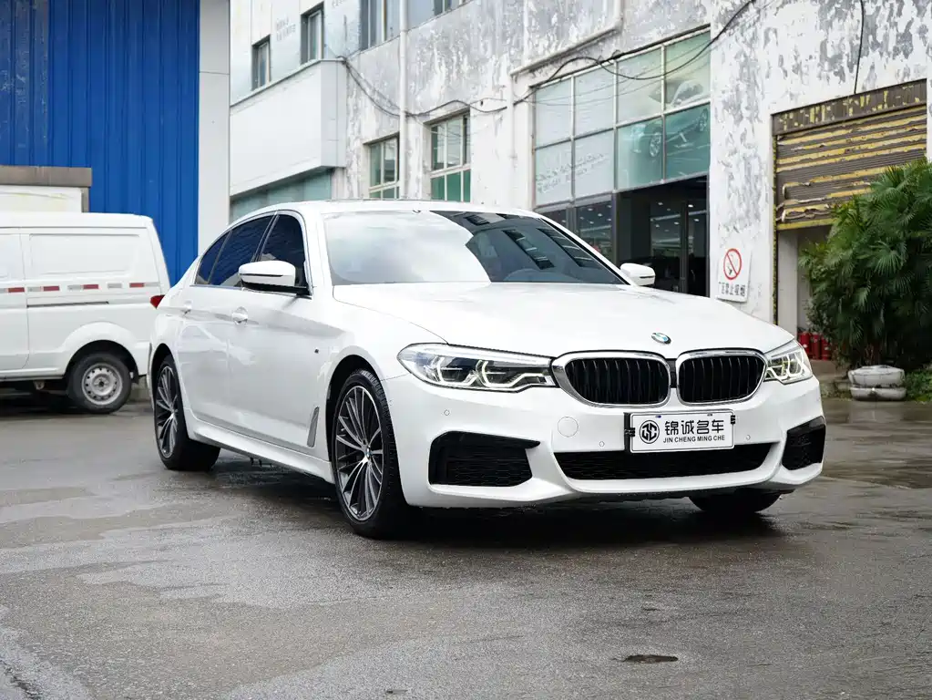 BMW 5 Series 2019