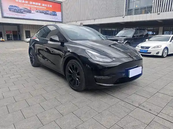 Tesla Model Y 2021