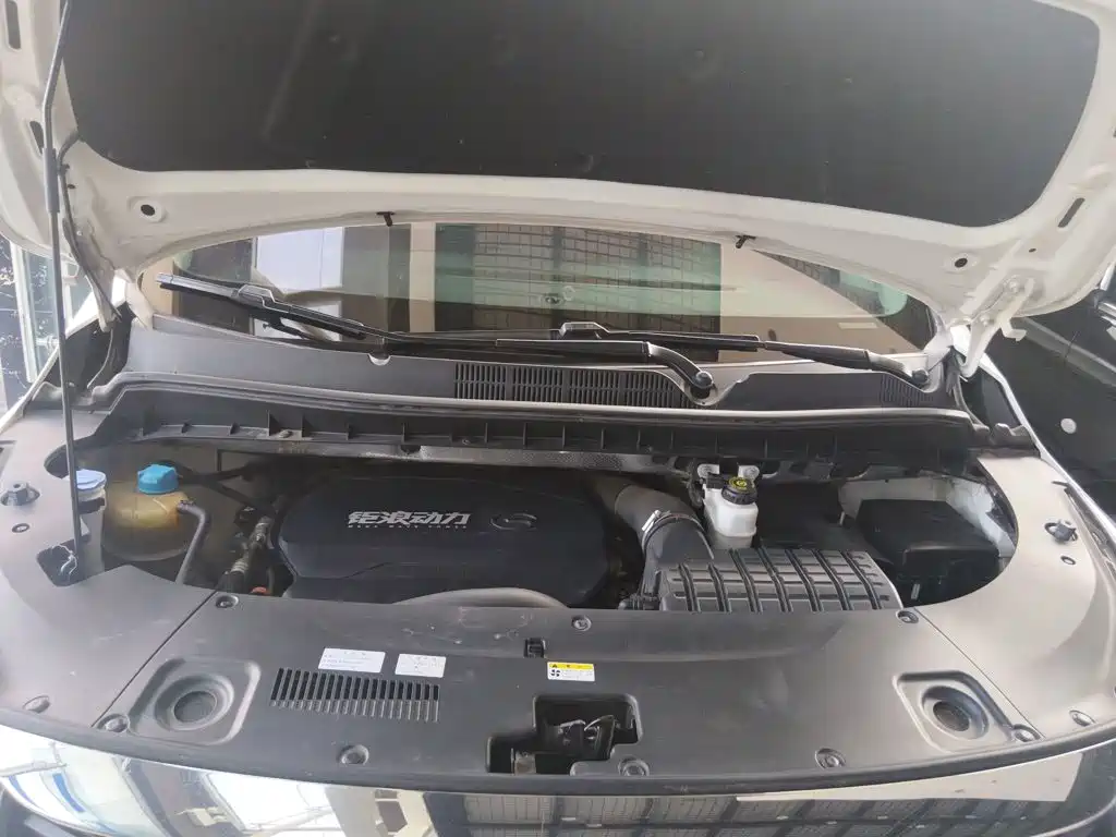 GAC Trumpchi M8 2021 — фото 10