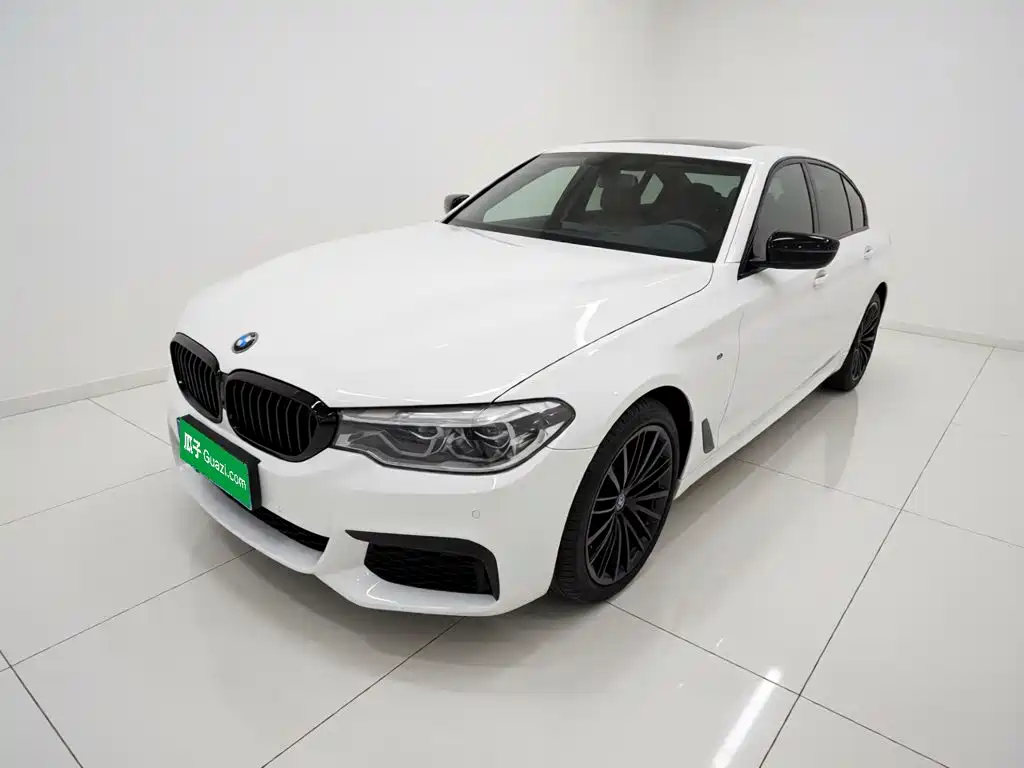 BMW 5 Series 2019