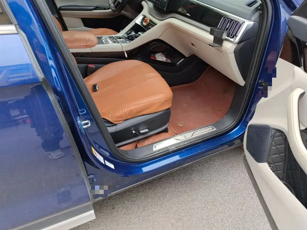 BYD PLUS New Energy 2023 — фото 20