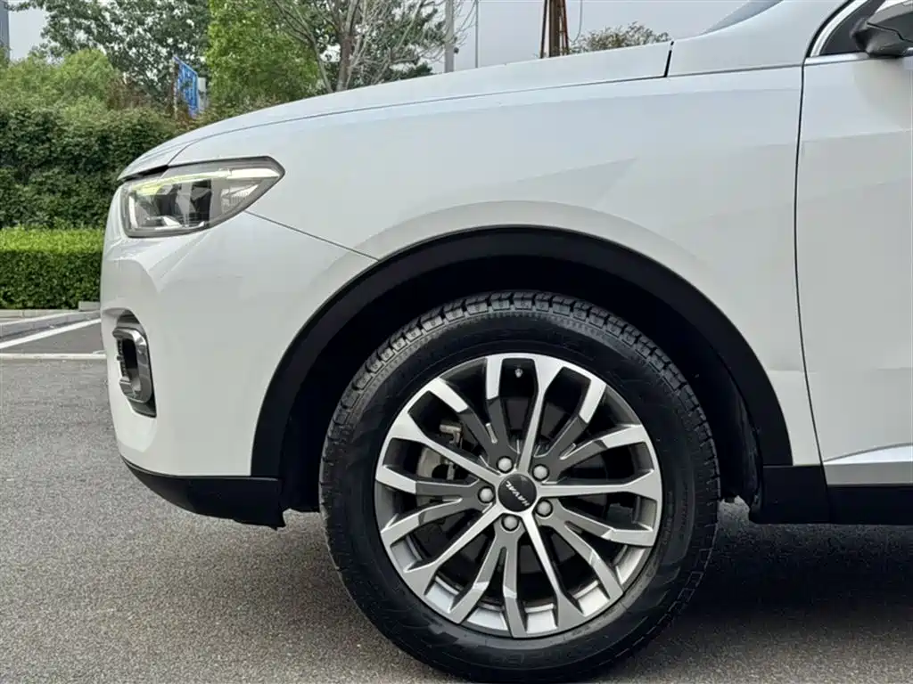 Haval H6 2020 — фото 23