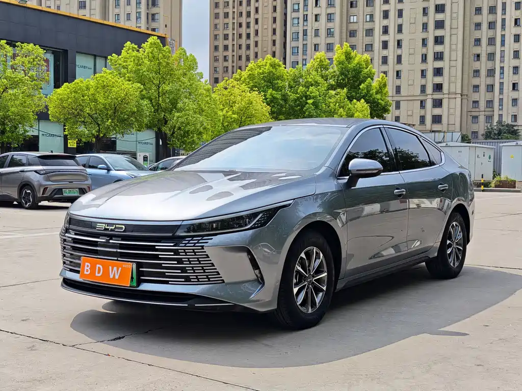 BYD Destroyer 05 2024 — фото 1