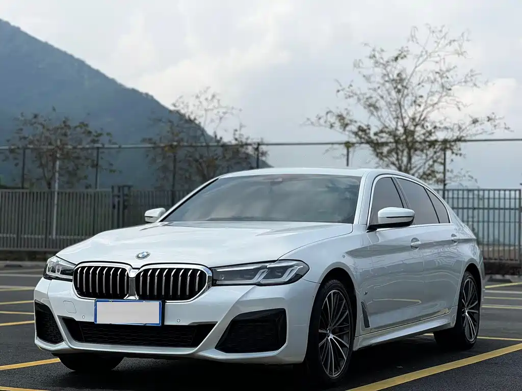 BMW 5 Series 2021