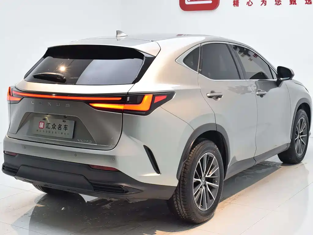 Lexus NX 2022 — фото 19