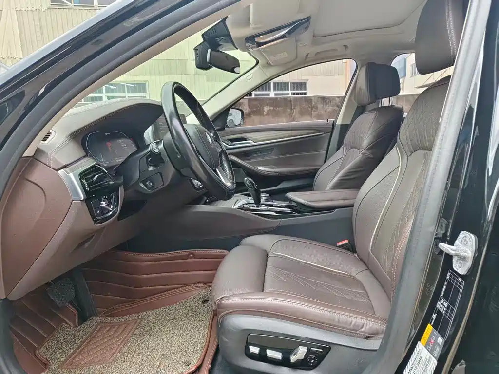 BMW 5 Series New Energy 2019