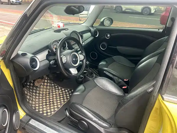 MINI 2010