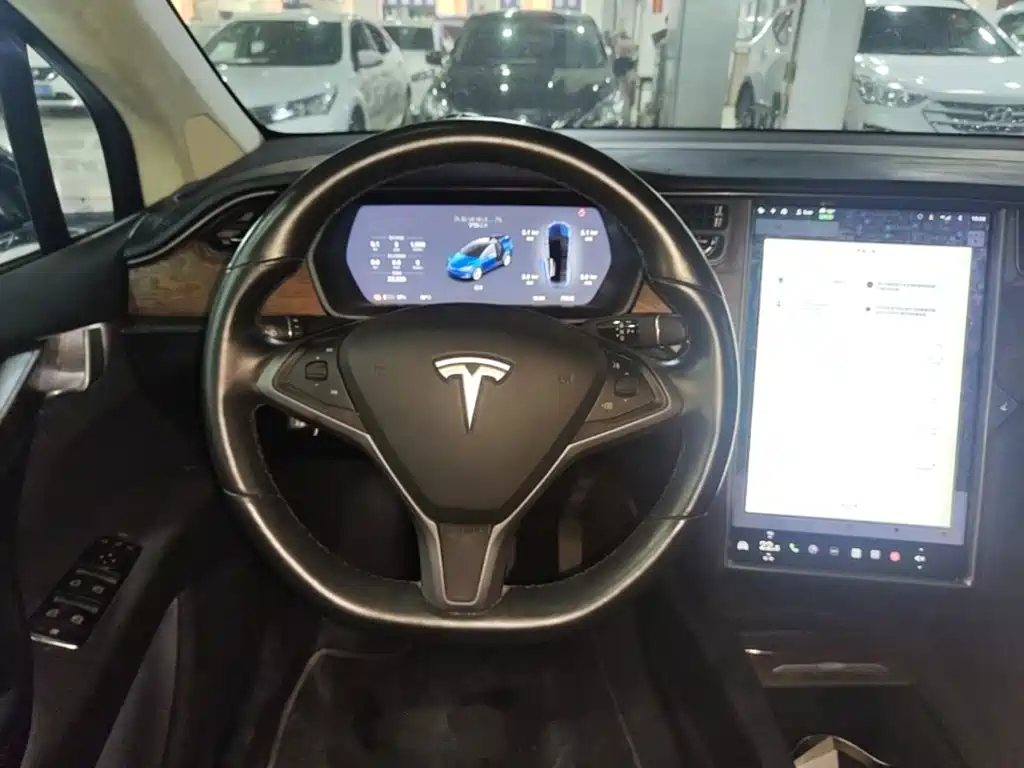 Tesla Model X 2019