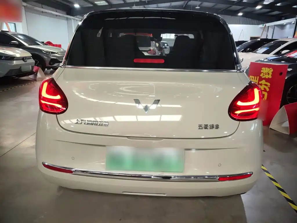 Wuling Bingo 2024