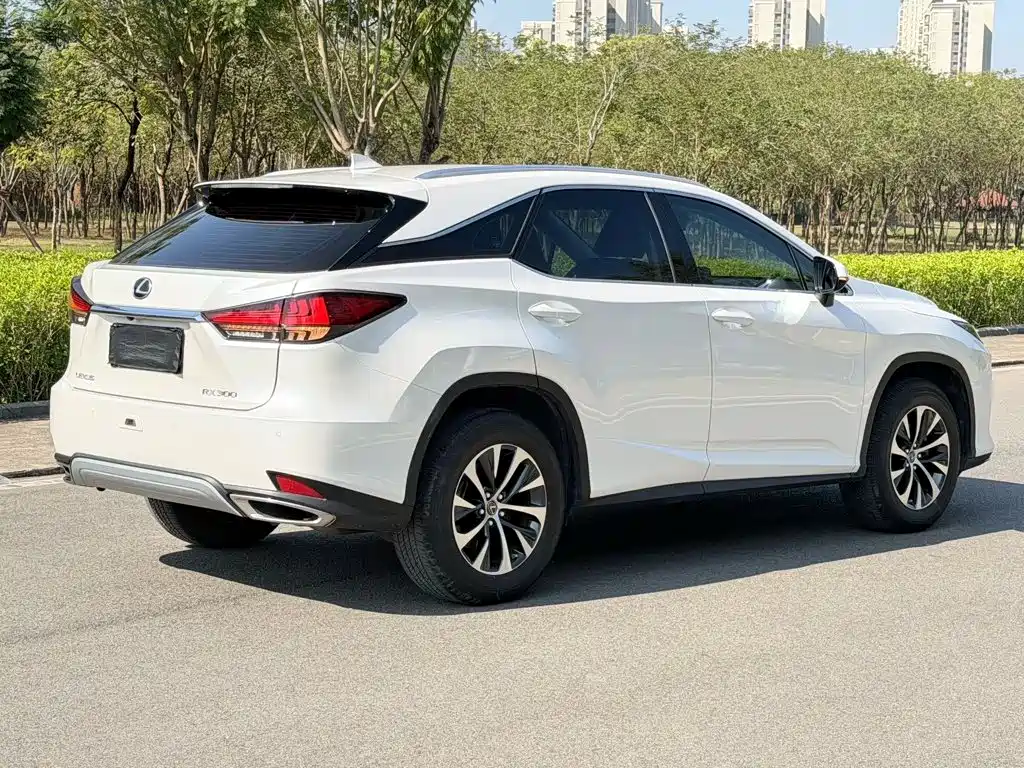 Lexus RX 2020 — фото 3