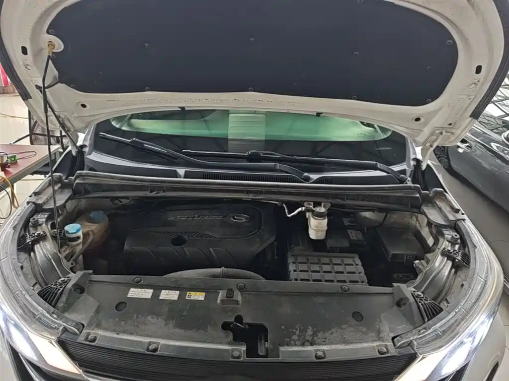 GAC Motor Trumpchi M6 2020 — фото 20