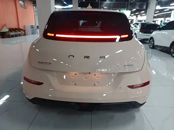 Ora Good Cat 2024