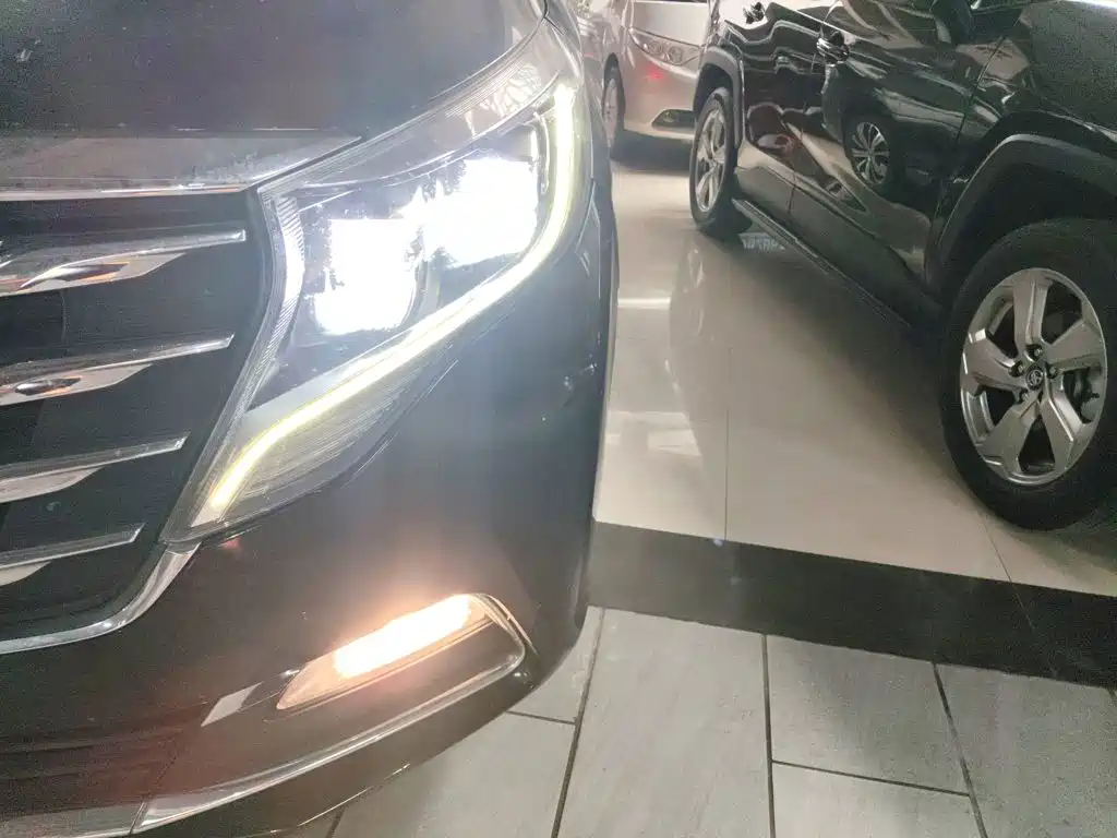 GAC Trumpchi M8 2019 — фото 18
