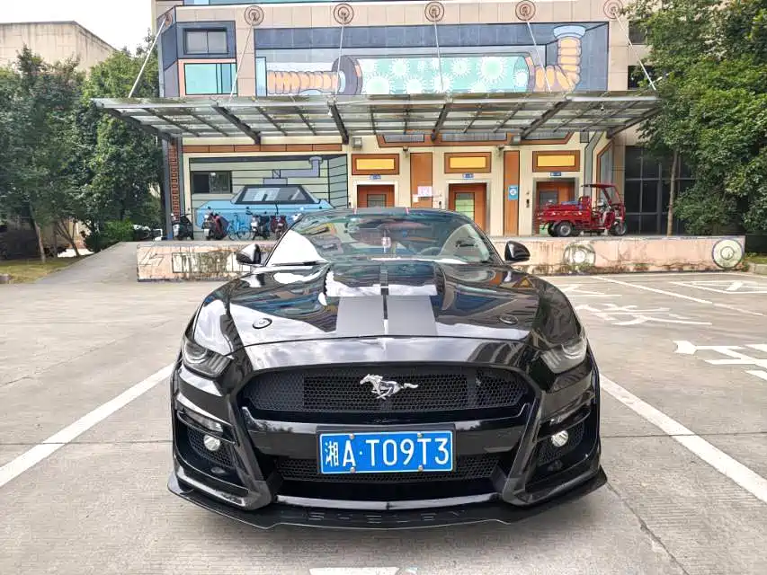 Ford Mustang 2015 — фото 2