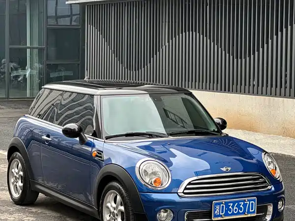 MINI MINI 2012