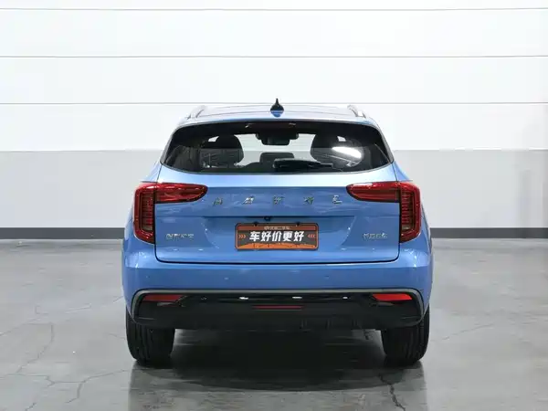 Haval First Love 2021