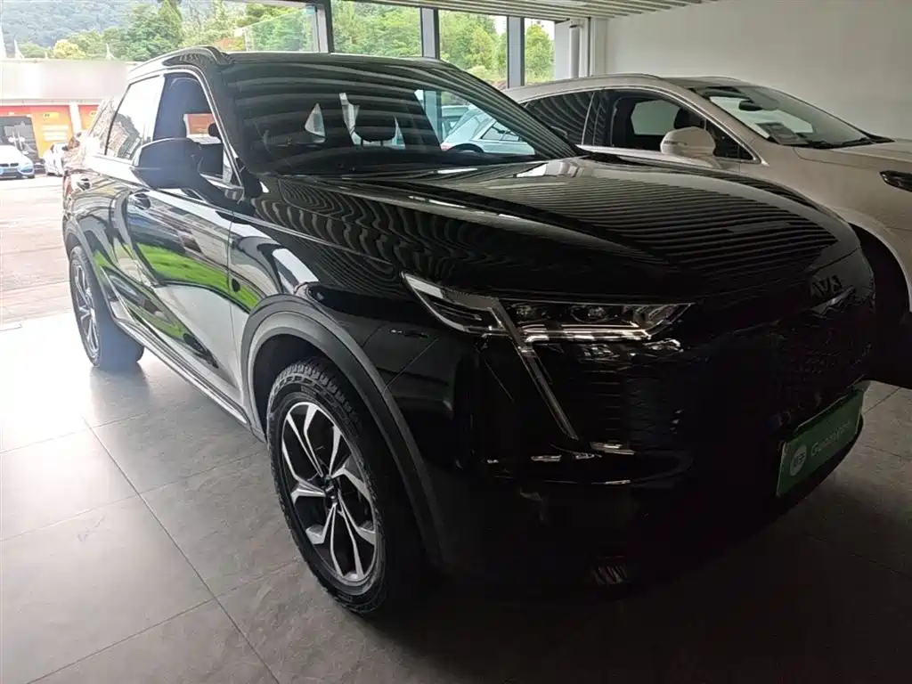 Haval Xiaolong MAX 2024 — фото 4