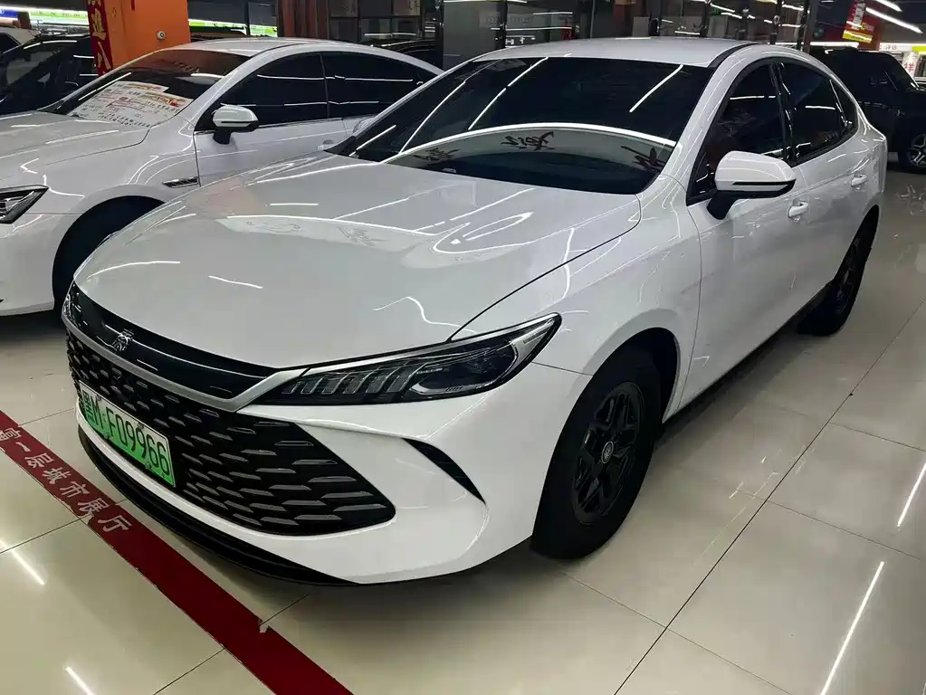 BYD Qin PLUS 2025 — фото 1