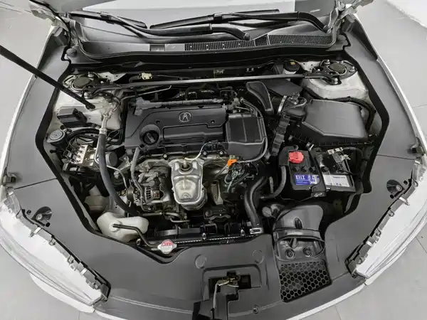 Acura TLX-L 2019