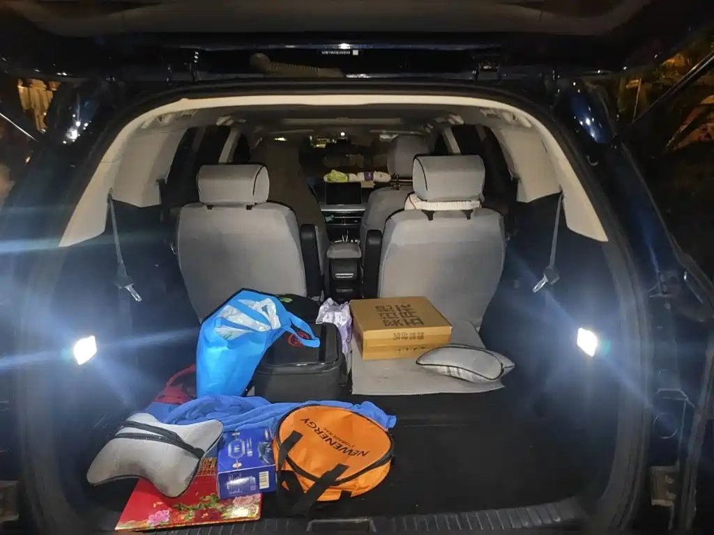 BYD Song MAX New Energy 2020 — фото 10