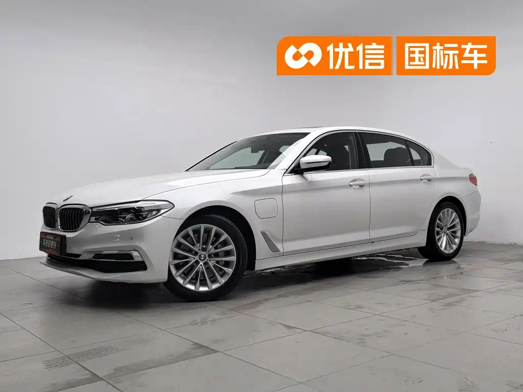 BMW 5 Series New Energy 2020