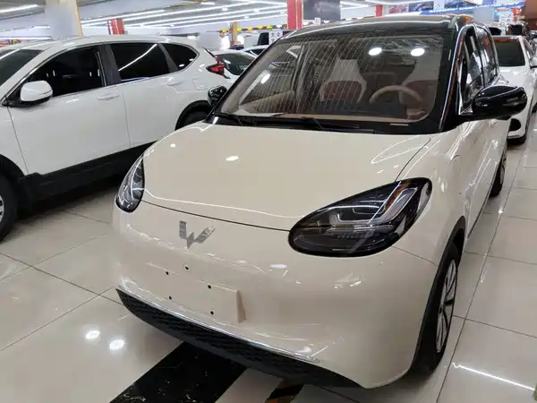 Wuling Bingo 2025