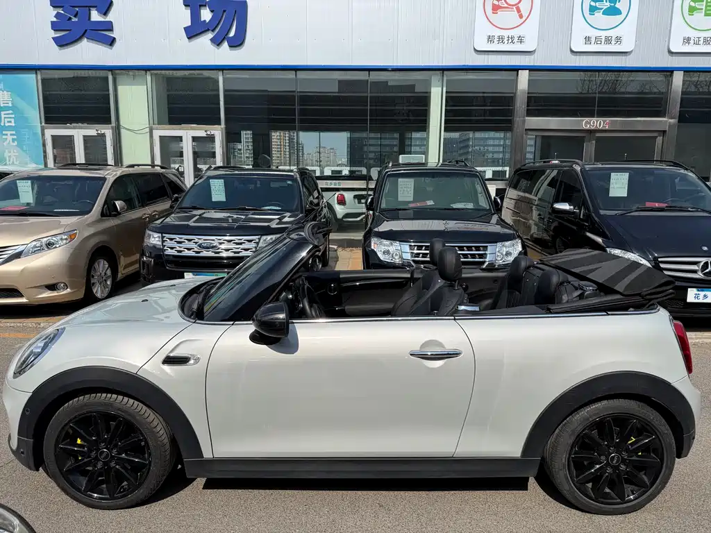 MINI MINI 2019