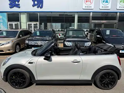 MINI MINI 2019