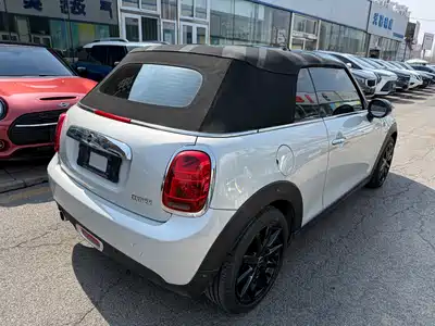 MINI MINI 2019