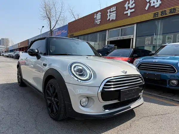 MINI MINI 2019