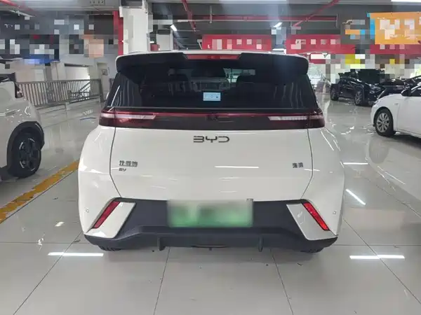 BYD Seagull 2024