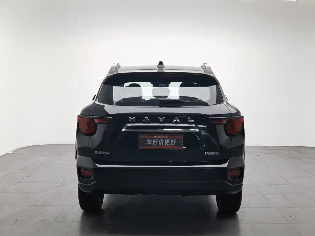 Haval Dog PLUS 2023 — фото 4