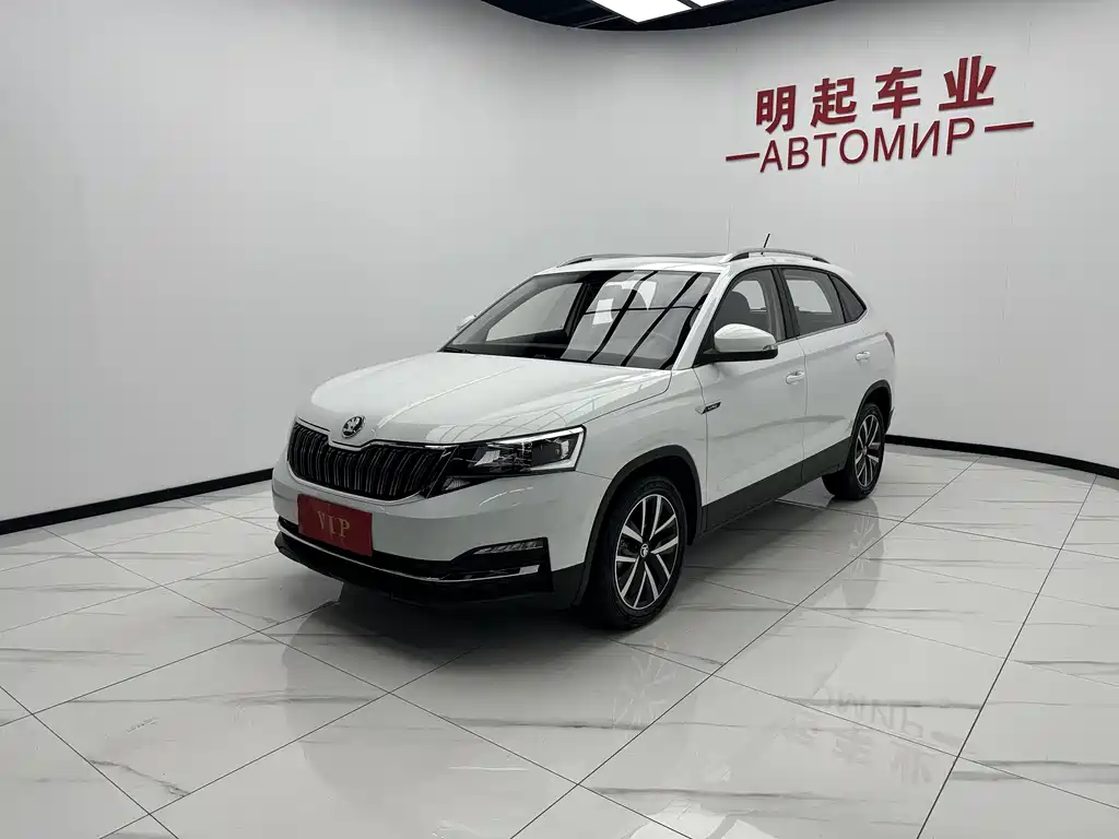 Skoda Kamiq 2024 — фото 4
