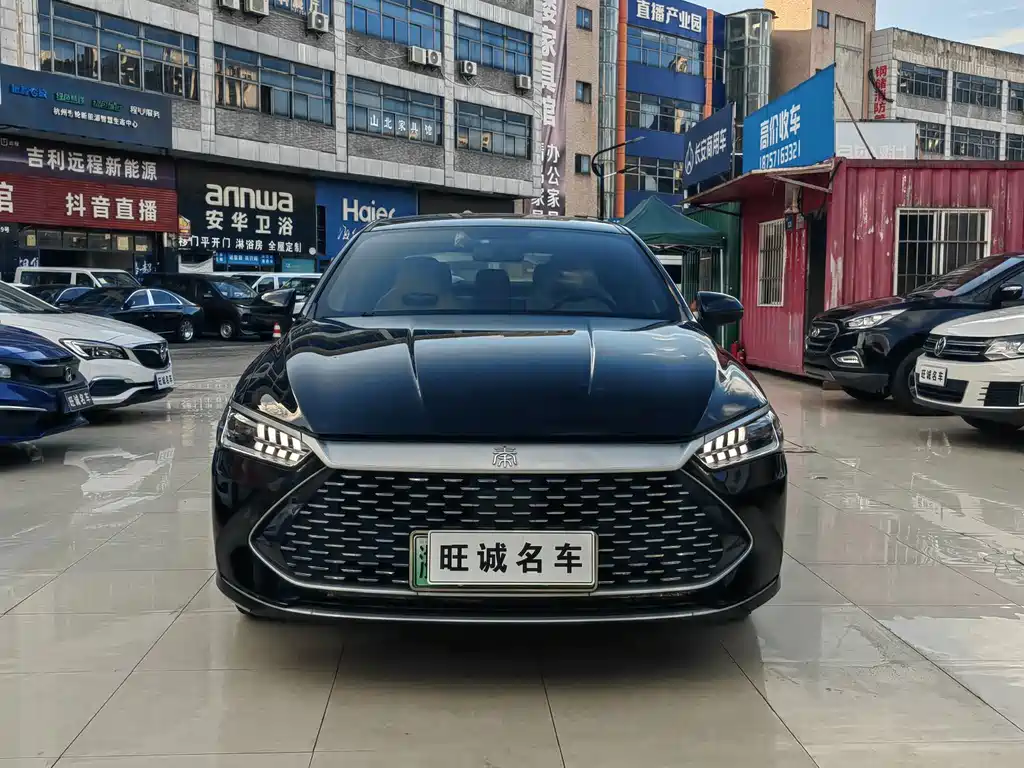 BYD Qin PLUS 2023 — фото 2