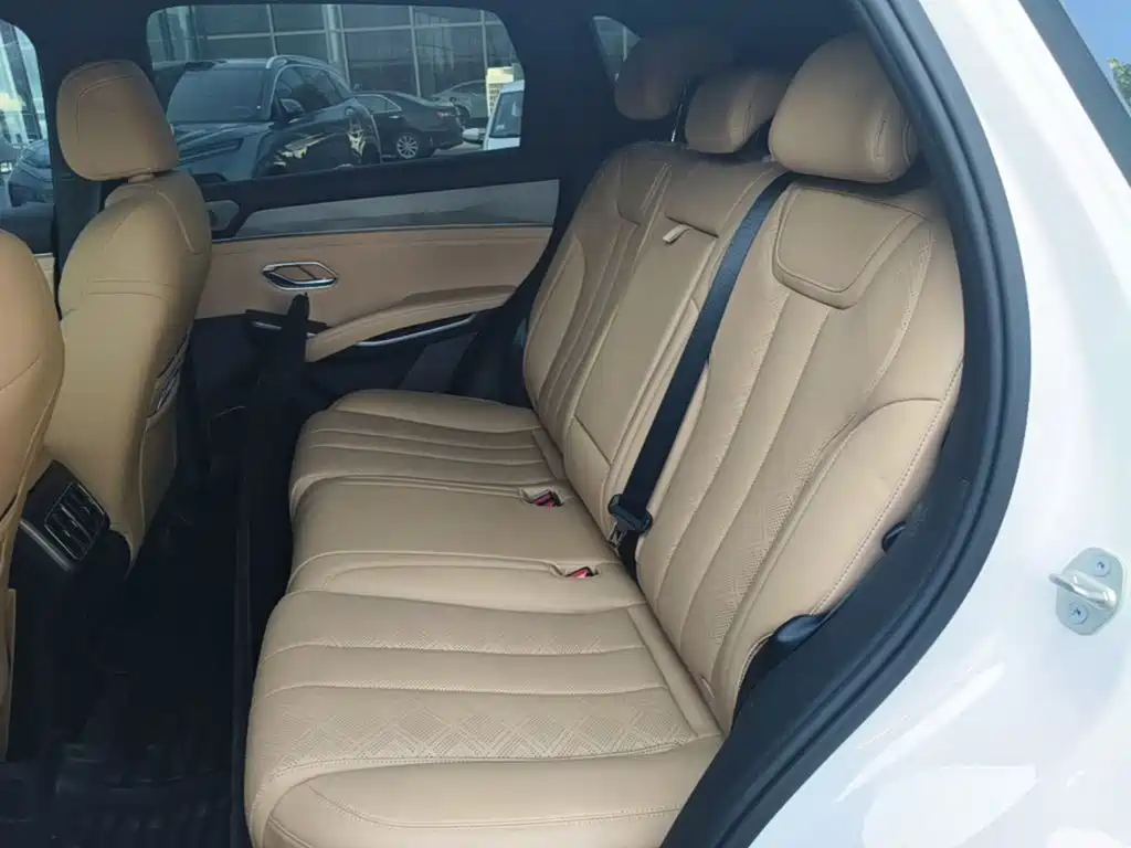 BYD L DM-i 2024 — фото 17