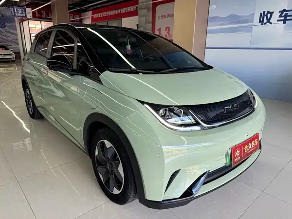 BYD Dolphin 2024