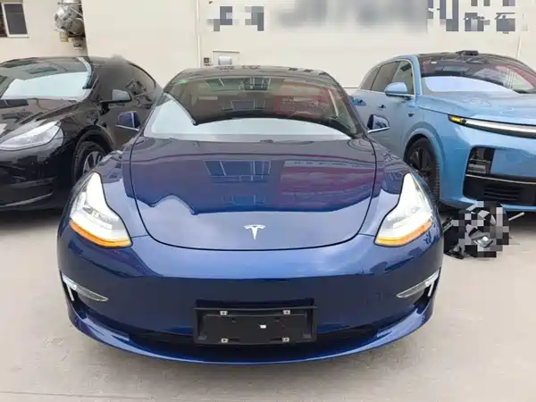 Tesla Model 3 2019