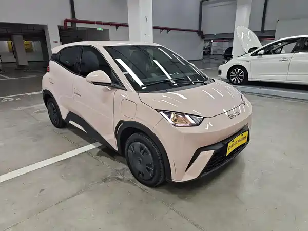 BYD Seagull 2024