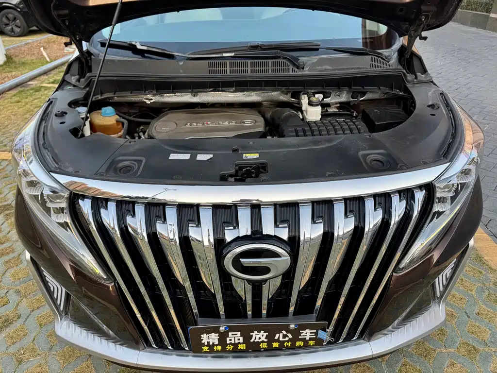 GAC Motor Trumpchi M8 2019 — фото 20