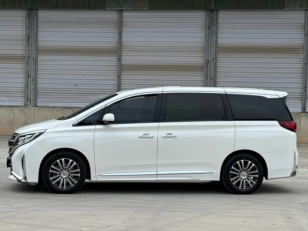 GAC Motor Trumpchi M8 2021 — фото 4