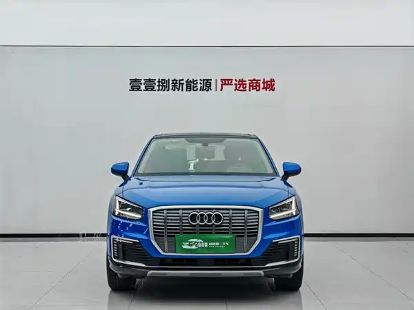 Audi Q2L E-Tron 2021