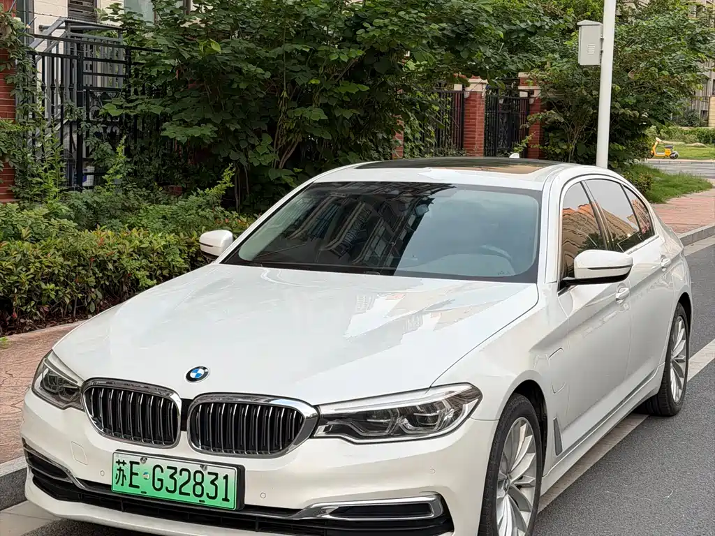 BMW 5 Series New Energy 2020