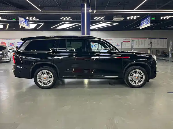 Hongqi Golden Sunflower Guoyao 2022