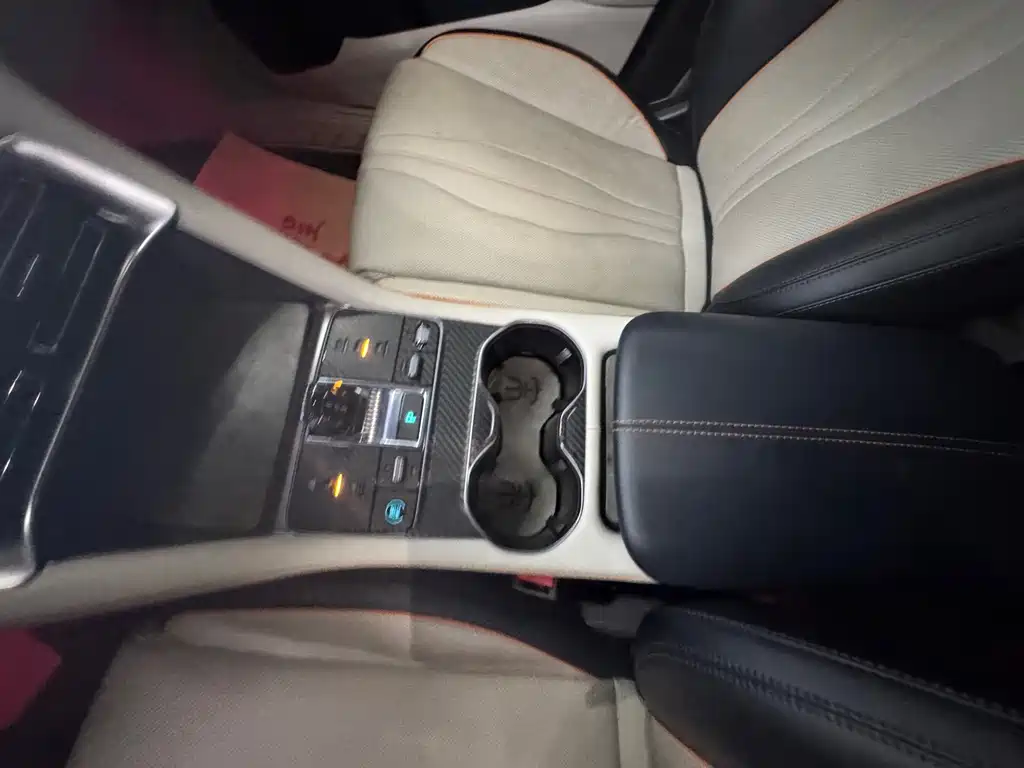 BYD PLUS New Energy 2024 — фото 12