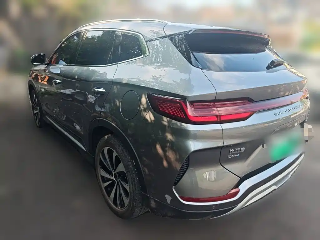 BYD Song PLUS New Energy 2024 — фото 25