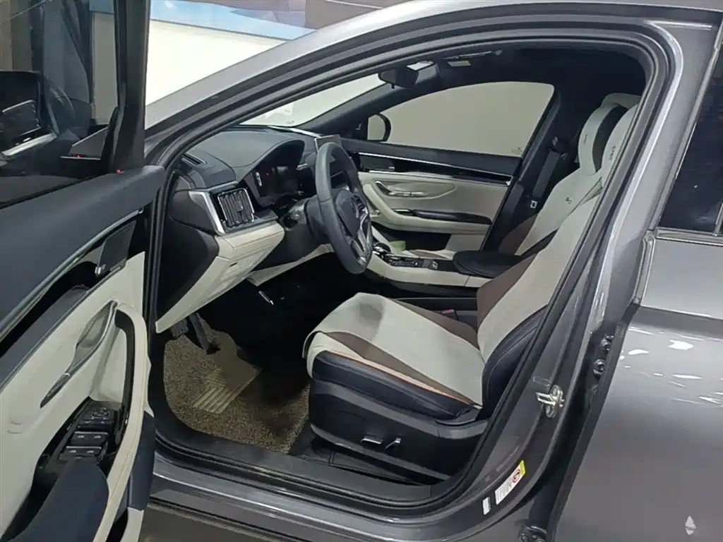 BYD PLUS New Energy 2022 — фото 16