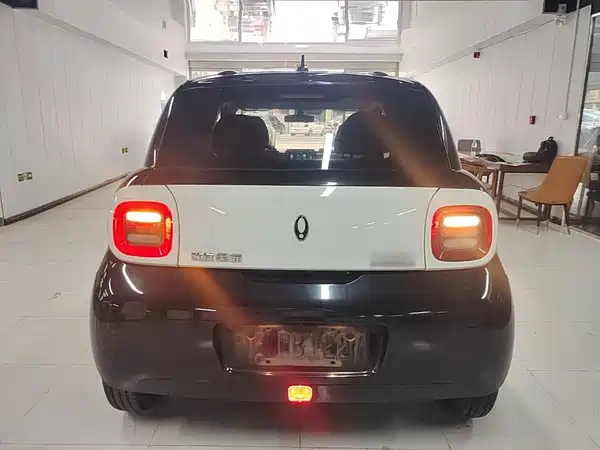Ora Black Cat 2021
