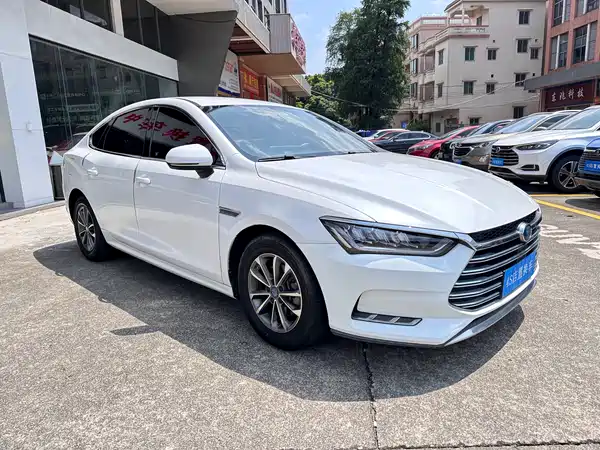 BYD Qin Pro New Energy 2019