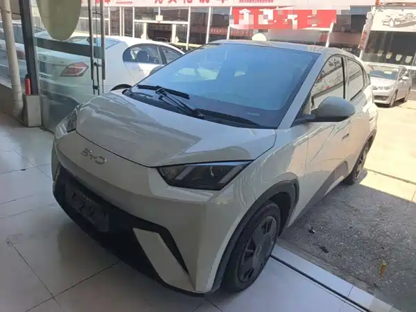 BYD Seagull 2024