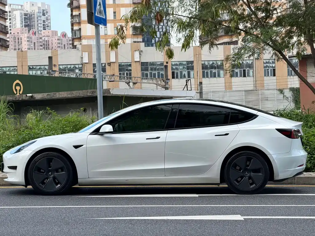 Tesla Model 3 2021 — фото 2